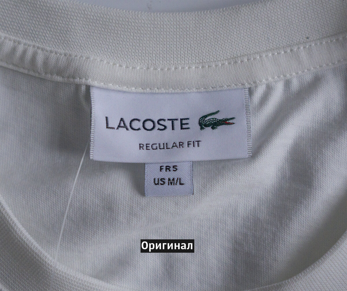 страница 4 | Фото Макет футболки Lacoste, более 75 качественных бесплатных стоковых фото