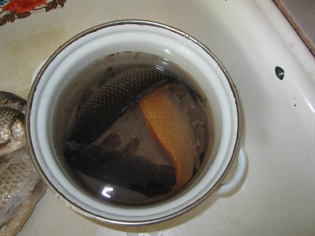 2012г , улов созеро Колово 