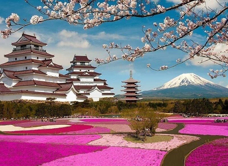 Фото https://www.instagram.com/p/CKrCgEMBmCv/