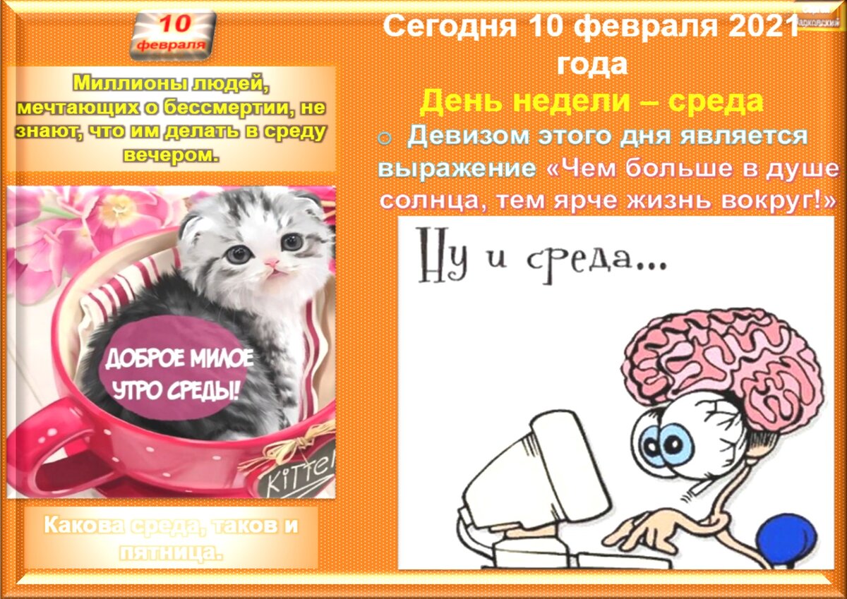 Шутка: Миллионы людей, мечтающих о бессмертии, не знают, что им делать в среду