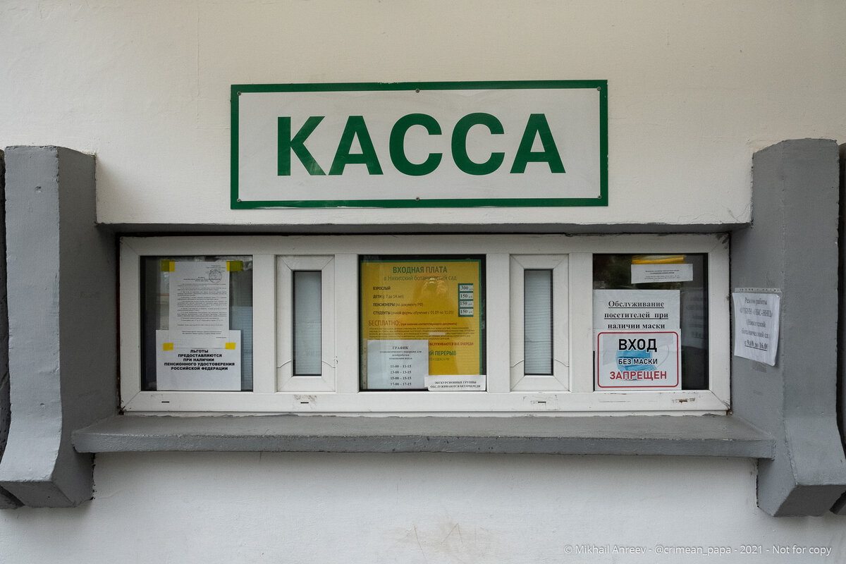 Касса