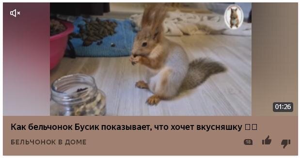 Это Скрин с ленты Дзен.