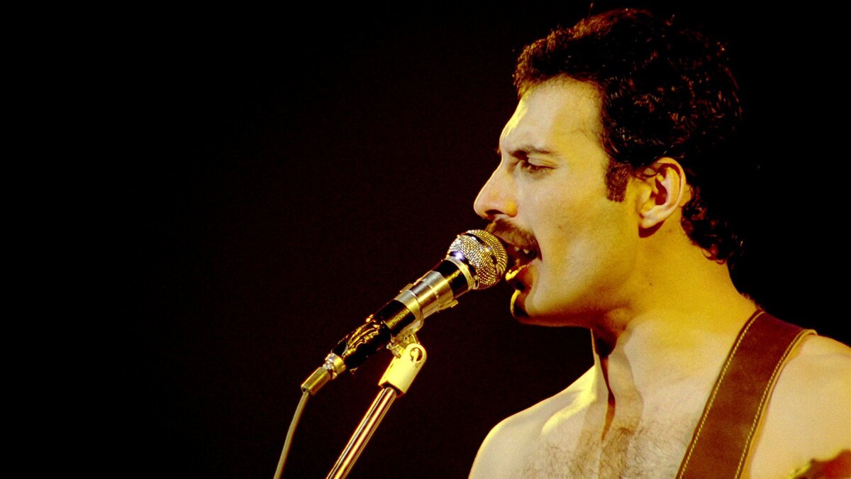 Фредди меркьюри группа queen. Freddie Mercury. Queen Фредди. Квин Фредди Меркьюри. Фредди Меркьюри фото.