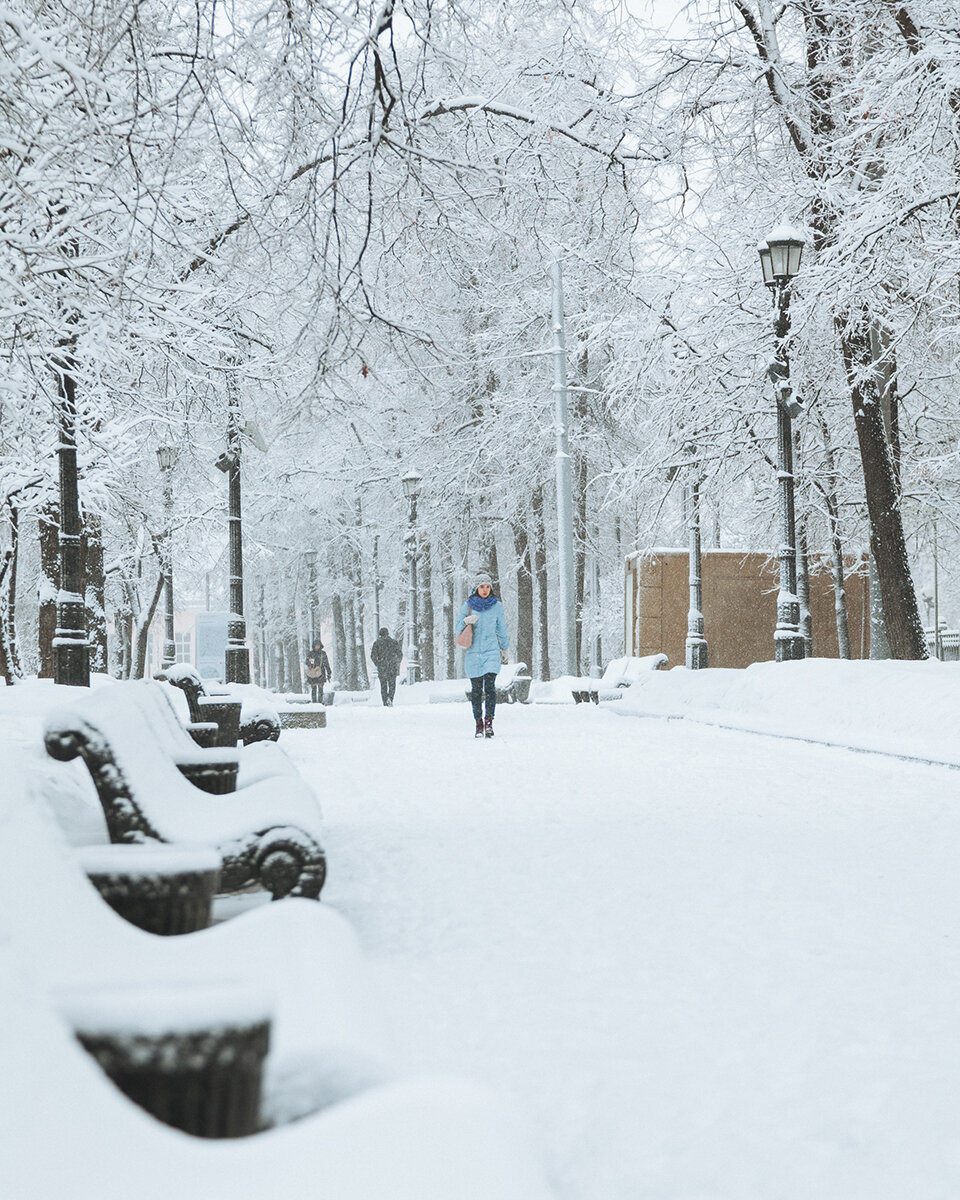 Снег в дмитрове сегодня фото