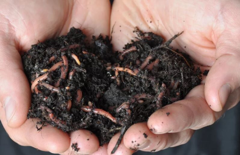 Органические удобрение