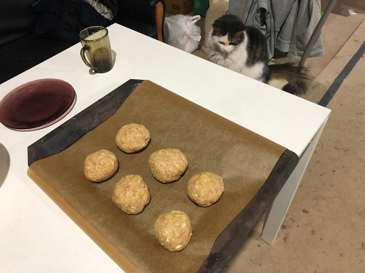 Люся проверяет
