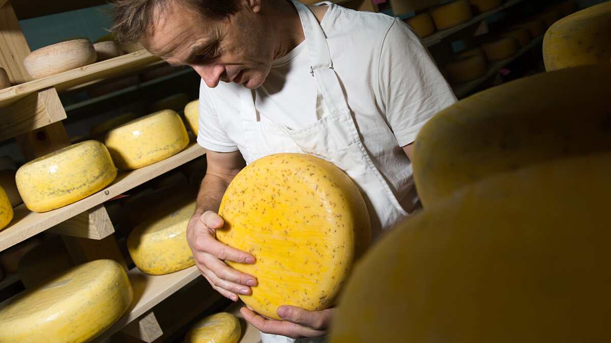 Российские сыры