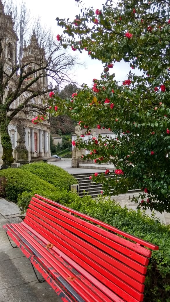 Сад рядом с церковью Бон-Жезуш