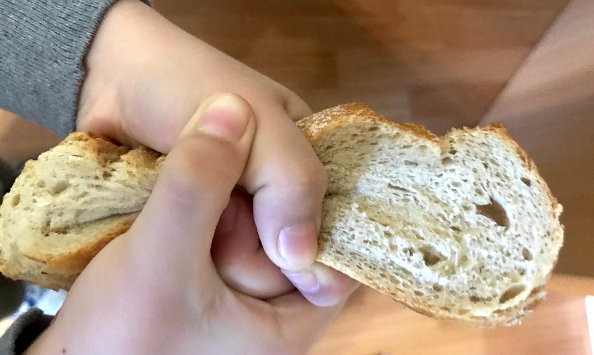 Они были похожи на маленьких голодных собачат, которые никак не могли наесться и все время переживали о предстоящем голоде;