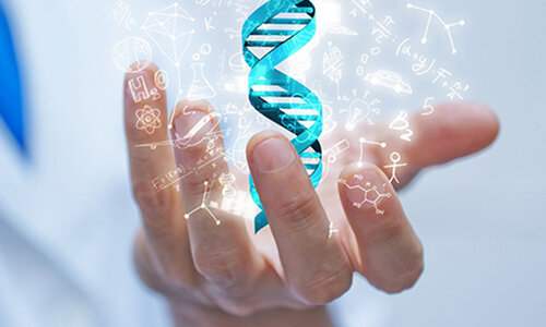 Медицина с использованием данных ДНК — это индивидуальная медицина XXI века. Это всестороннее исследование, это изучение индивидуальных особенностей каждого человека, которые учитываются при лечении. Фактически человеку дается инструкция, как ему с самим собой быть, чтобы избежать того, что на роду написано или хотя бы отсрочить возникновение этой проблемы. 