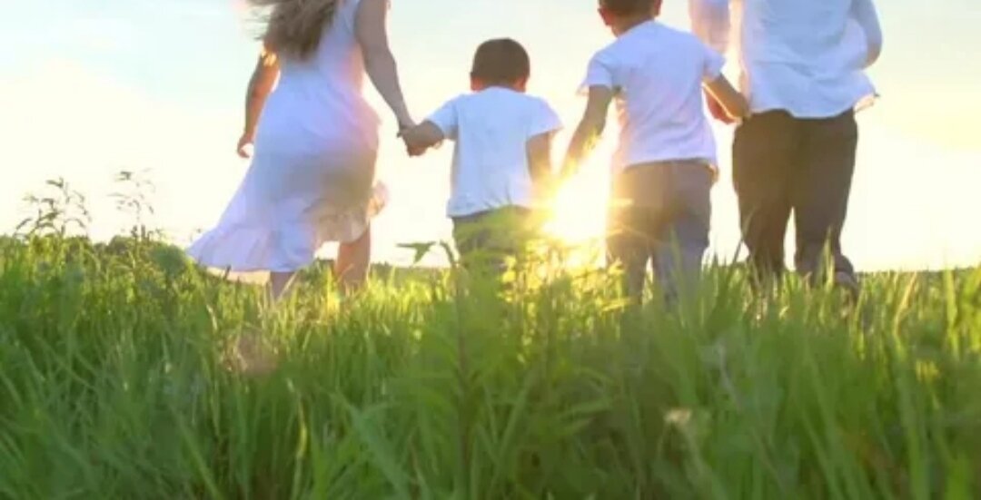 (Из открытых источников Яндекс) 