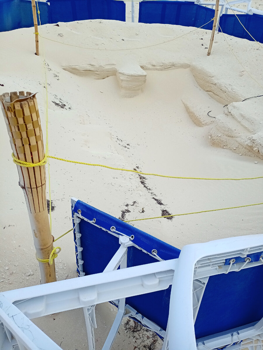 яма на пляже