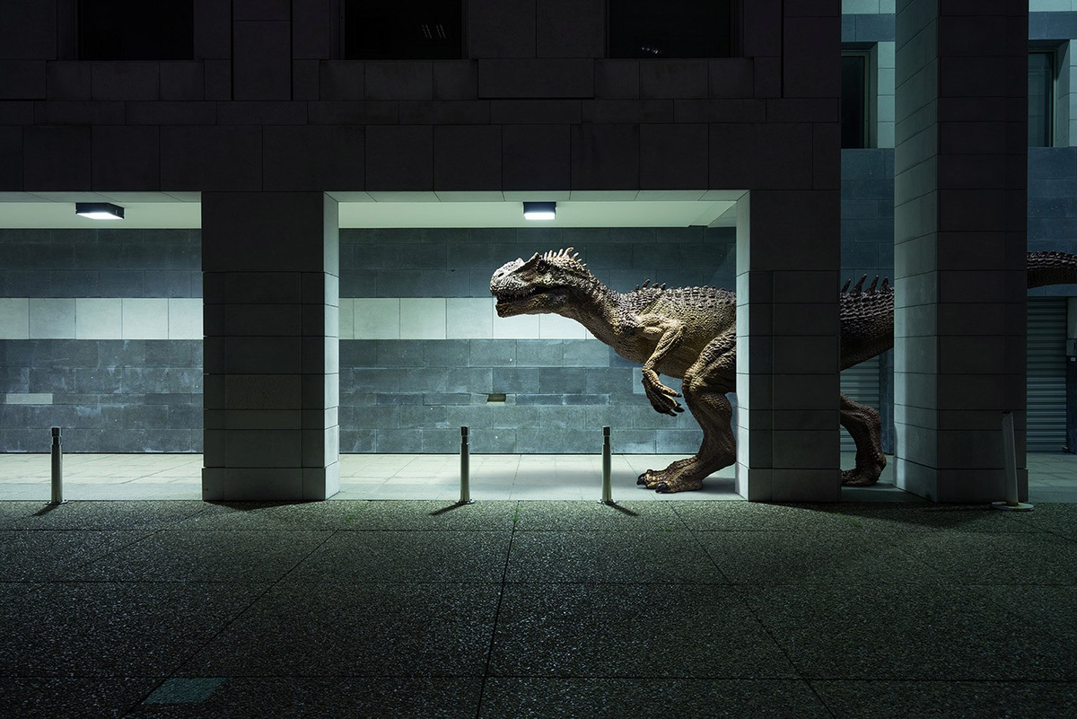 Benoit Lapray || The Wildlife