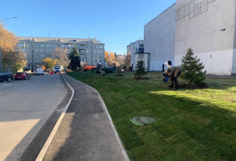     На участке подрядная организация выполнила озеленение  пресс-службы администрации Барнаула