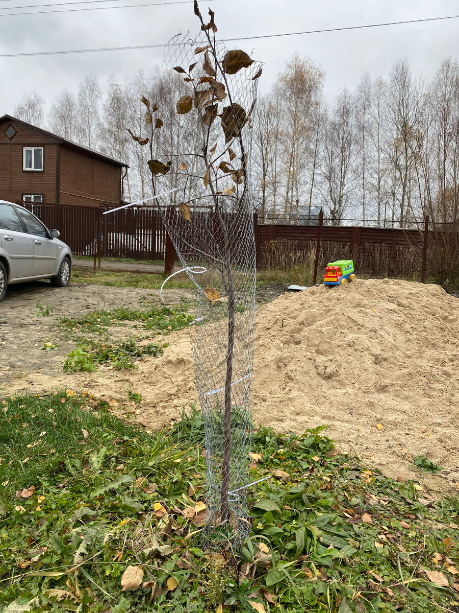 Антоновка