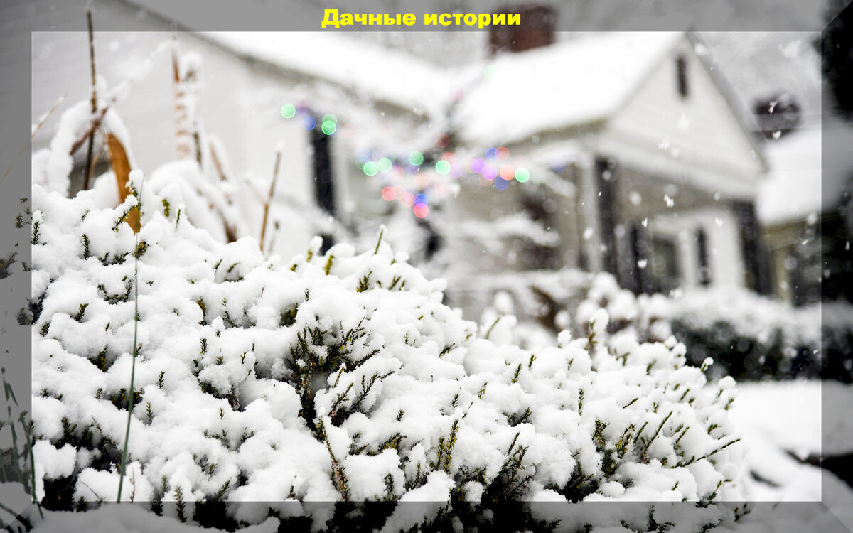 https://vk.com/photo-159774511_457256945