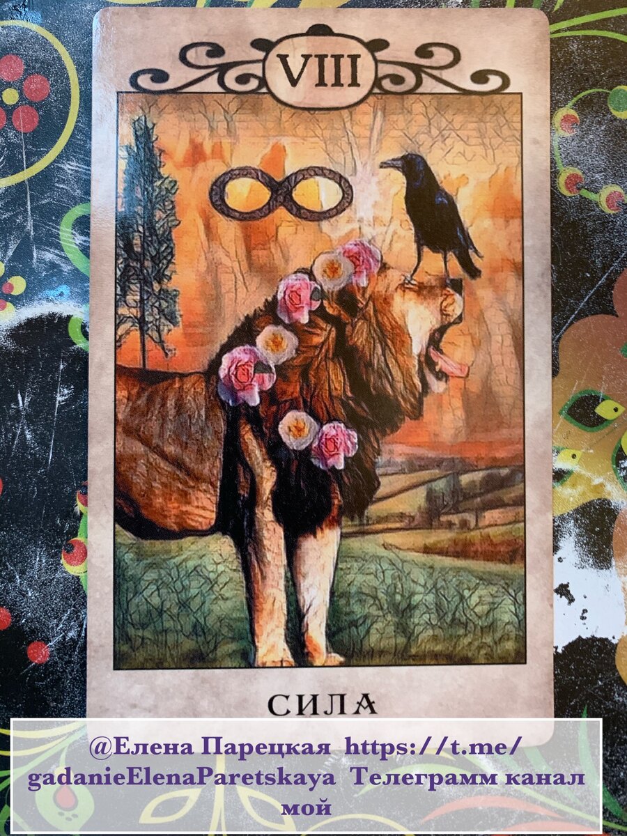 8 справедливость таро. 18 аркан таро. таро сила 8. 8 аркан центр. 8 аркан таро.