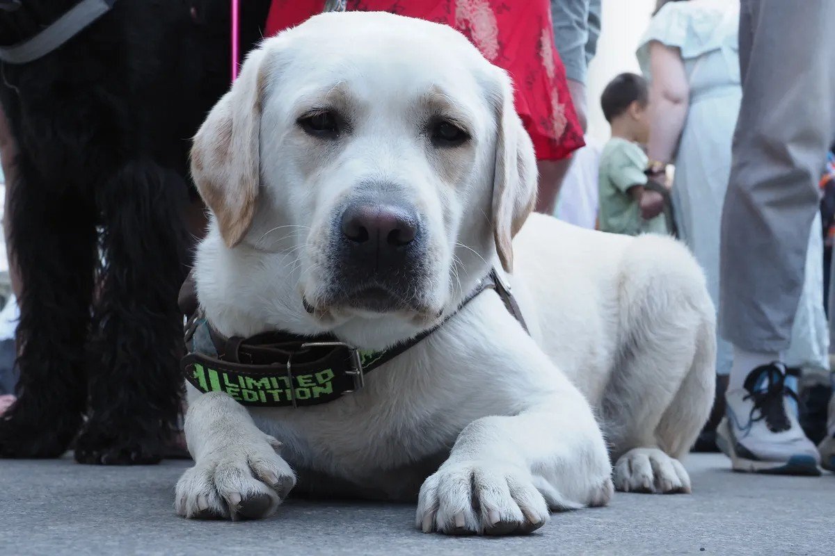 Фото: Олег Золото / MR7