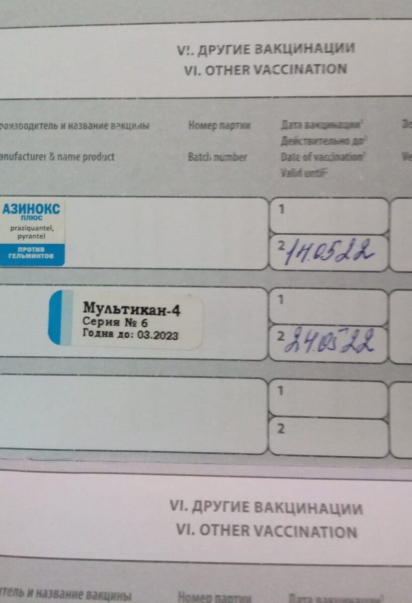 Фото паспорта щенка с неполной вакцинацией