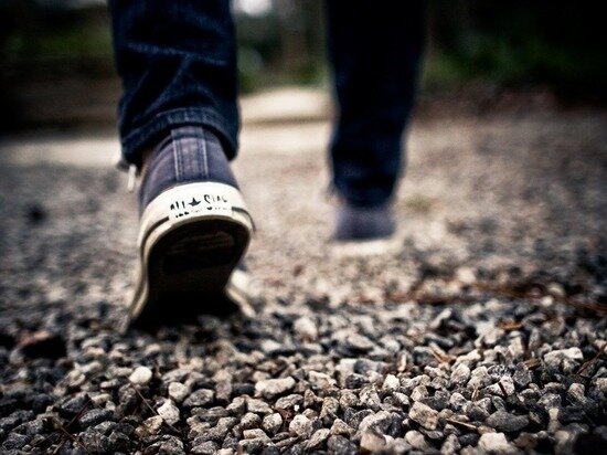     фото: pixabay.com