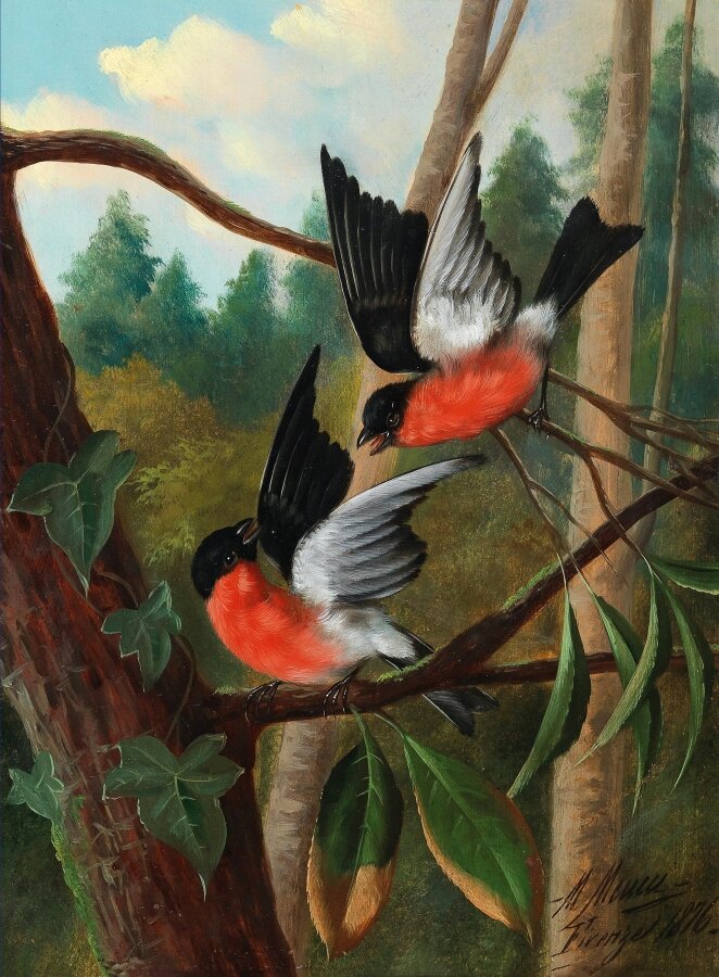 14. ����������� ������. ���������� �������. �����, �����. 40�29,5. 1876. ������� ��������. ����������� ������: yavarda.ru