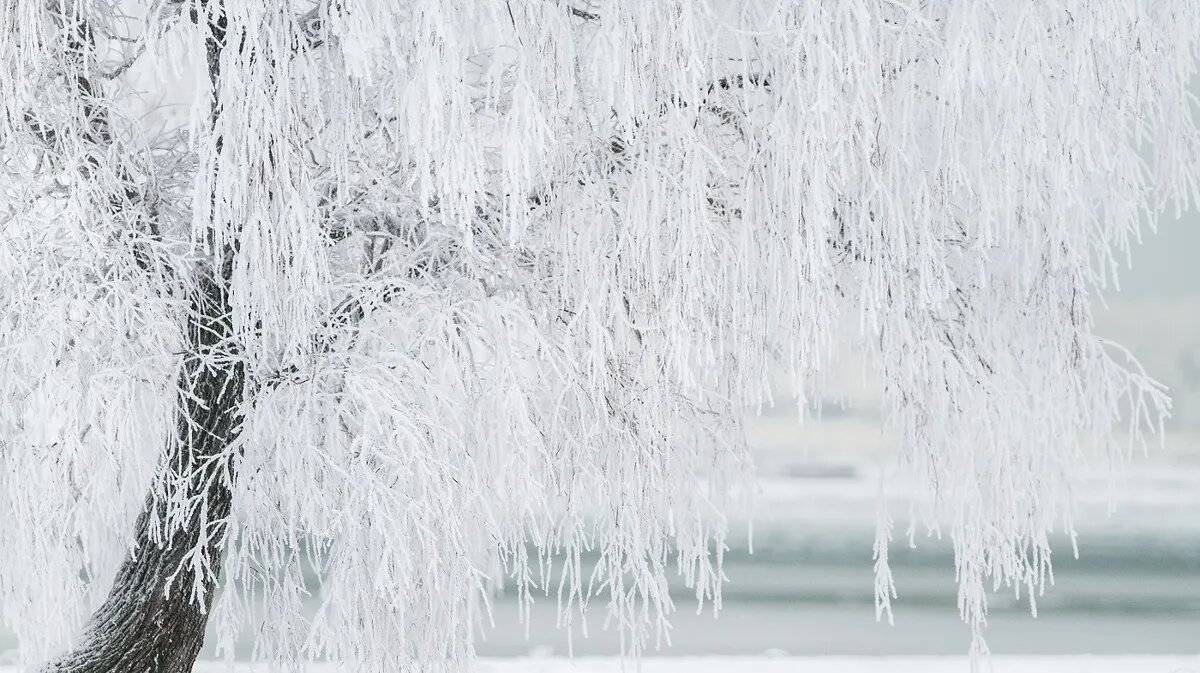 Фото: pxhere.com