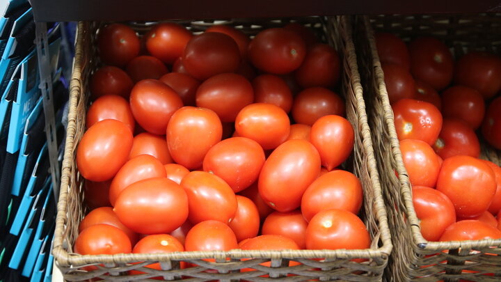 ФОТО: MAKSIM KONSTANTINOV/GLOBALLOOKPRESS