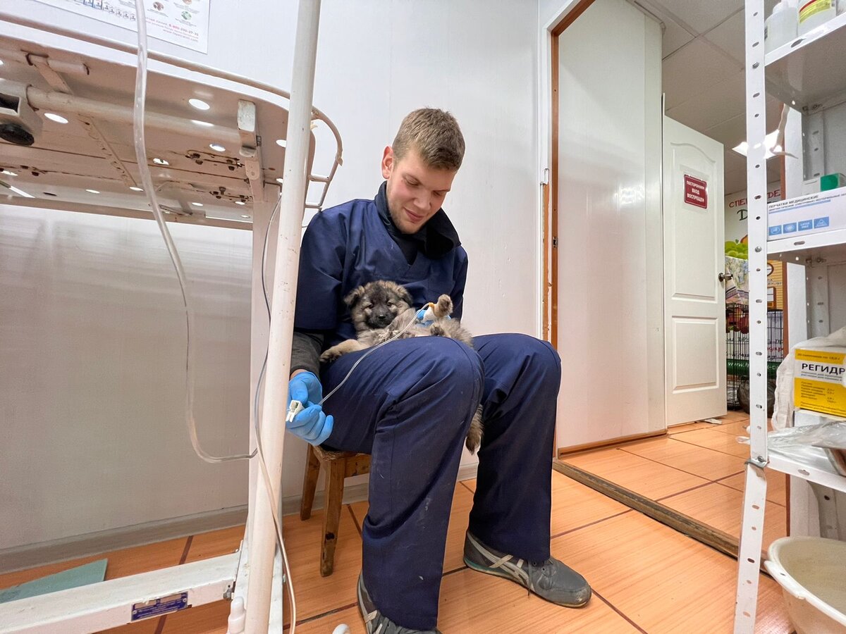 Малыши в приюте "Омские хвостики"