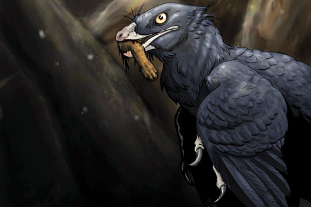    Художественная реконструкция M. zhaoinus / ©Hans Larsson