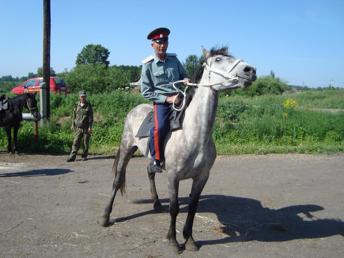 Лихой казак на лихом коне!