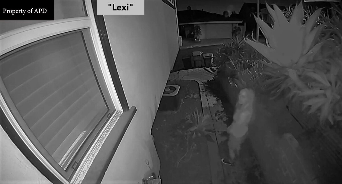 Скриншот из триллера "Lexi".