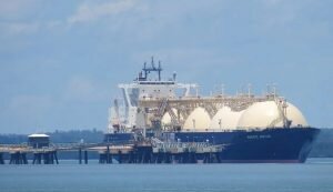    Фото: wikipedia.org | KenHodge/CC BY 2.0 Наталья Анисеева