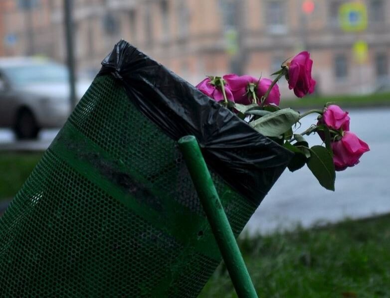 Собственный скрин из открытого источника https://oir.mobi/722237-cvety-brosheny.html