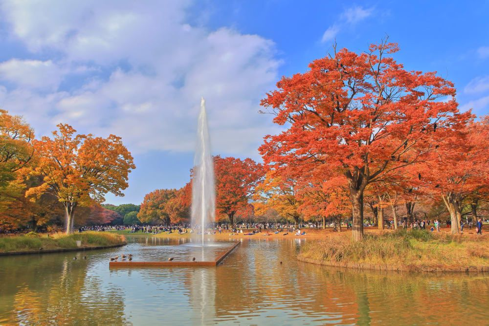 Yoyogi Park Tokyo