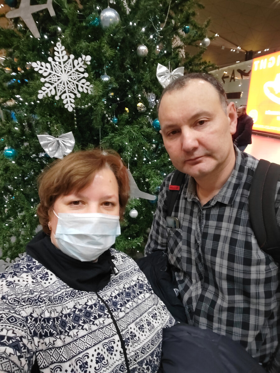 Елочка