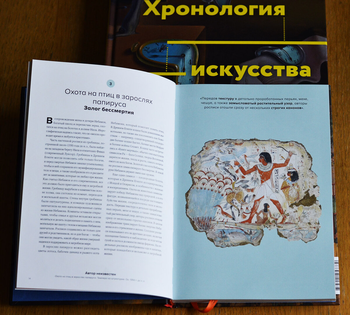 Почему наш ребенок смотрит книгу 18+? | Блог о книгах и не только | Дзен