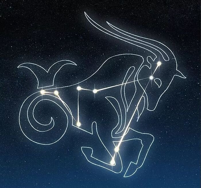Козерог. Фото взято из открытых источников.