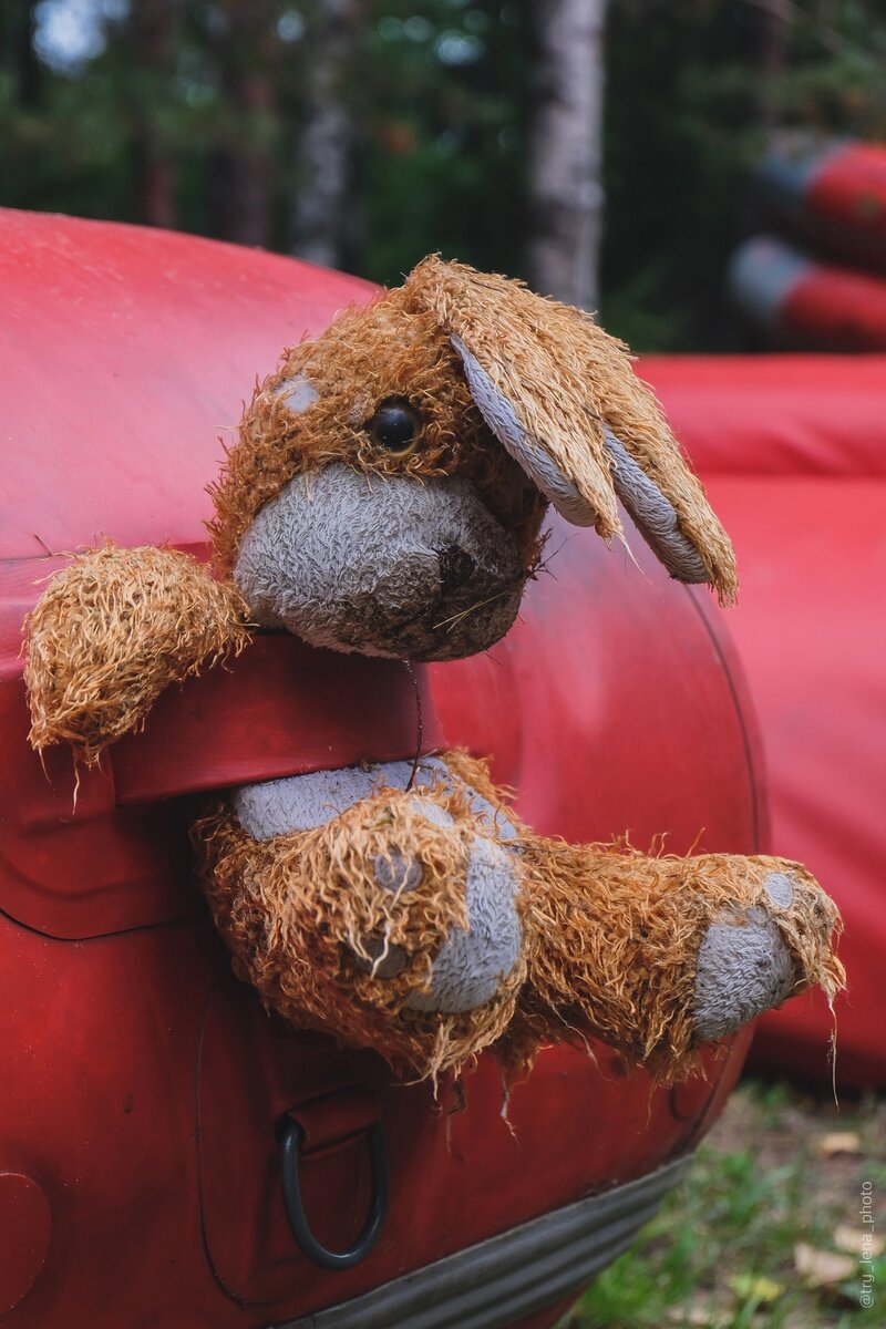 Осенний зайка 