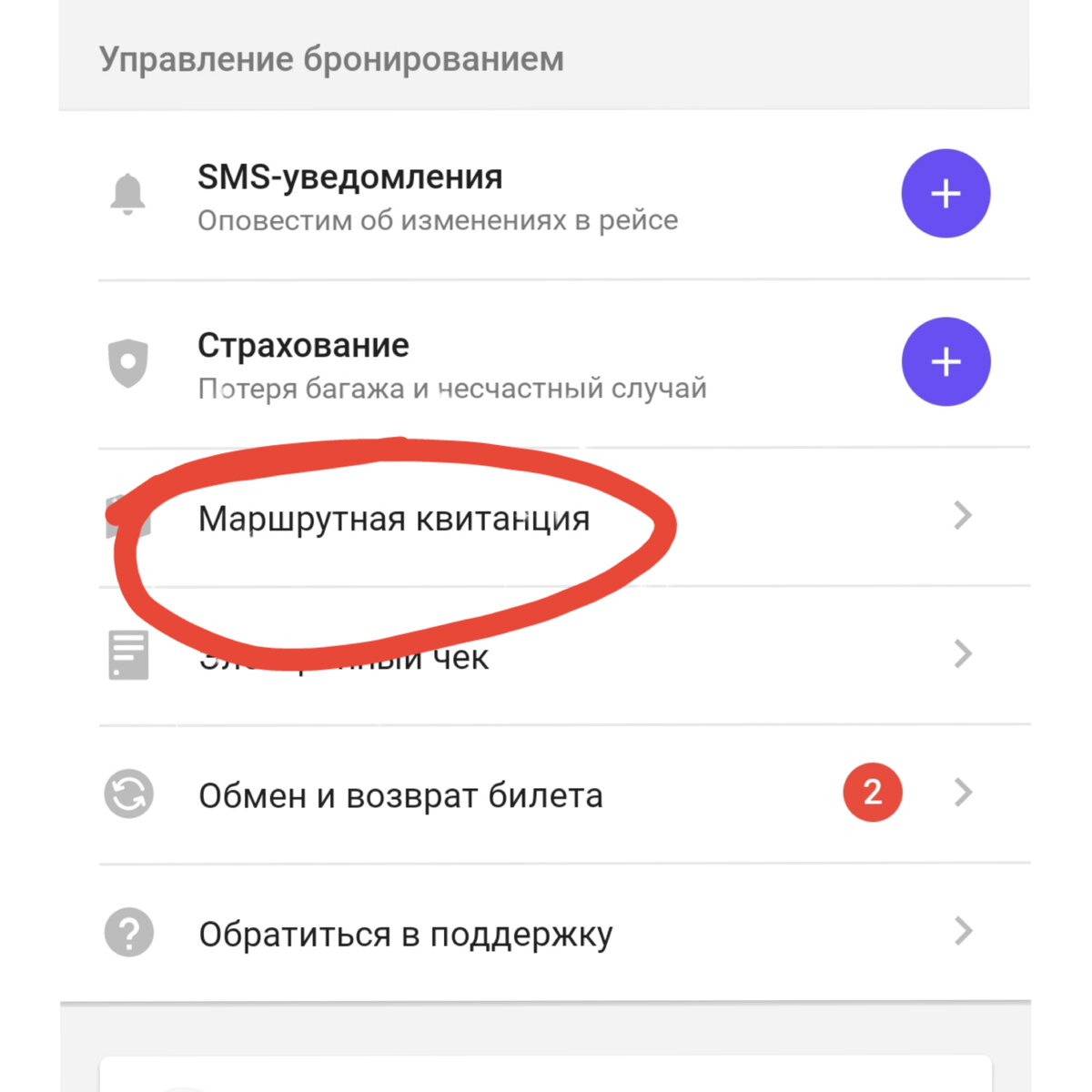Маршрутные квитанции автоматически появляются тут же в приложении в соответствующей вкладке.