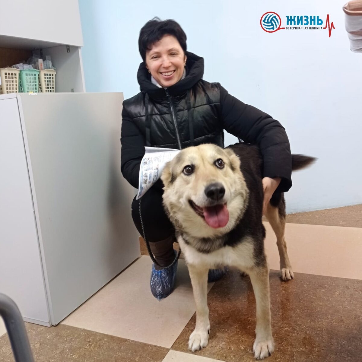 Ласка на повторном приеме у ветеринарного врача дерматолога в ветклинике в Калуге "Жизнь"