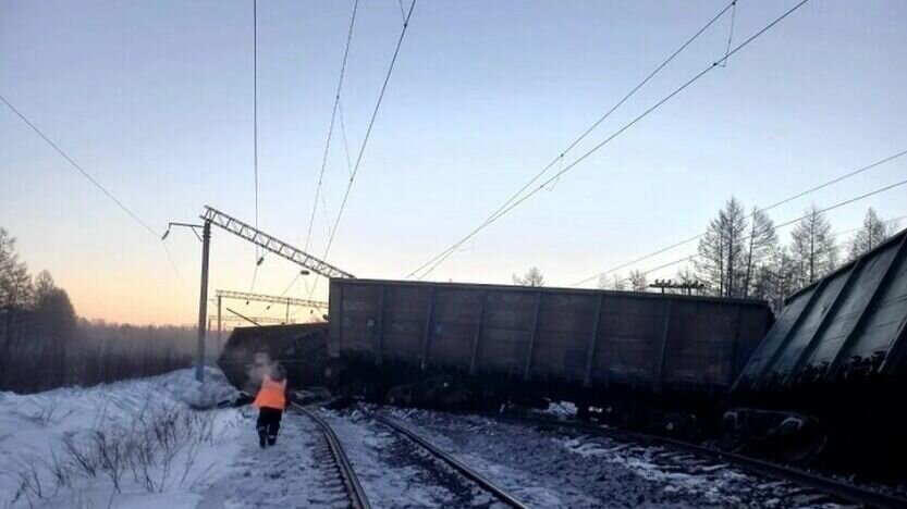     Пассажирские поезда пришлось задержать из-за происшествия.