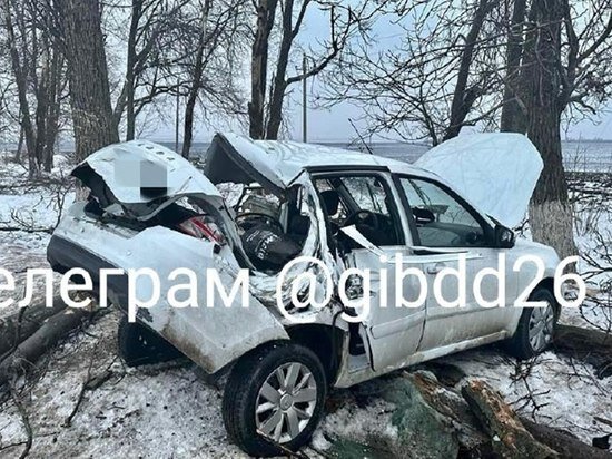     Фото УГИБДД России по СК