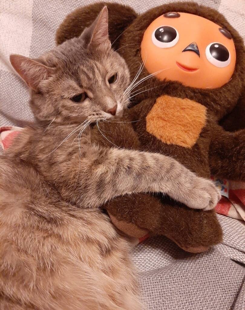 Источник: Яндекс картинки