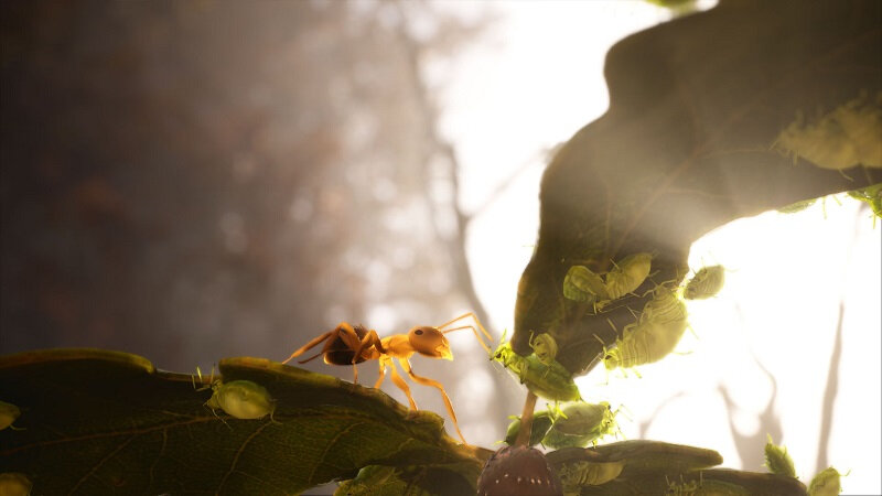  📷    Источник изображений: Microids