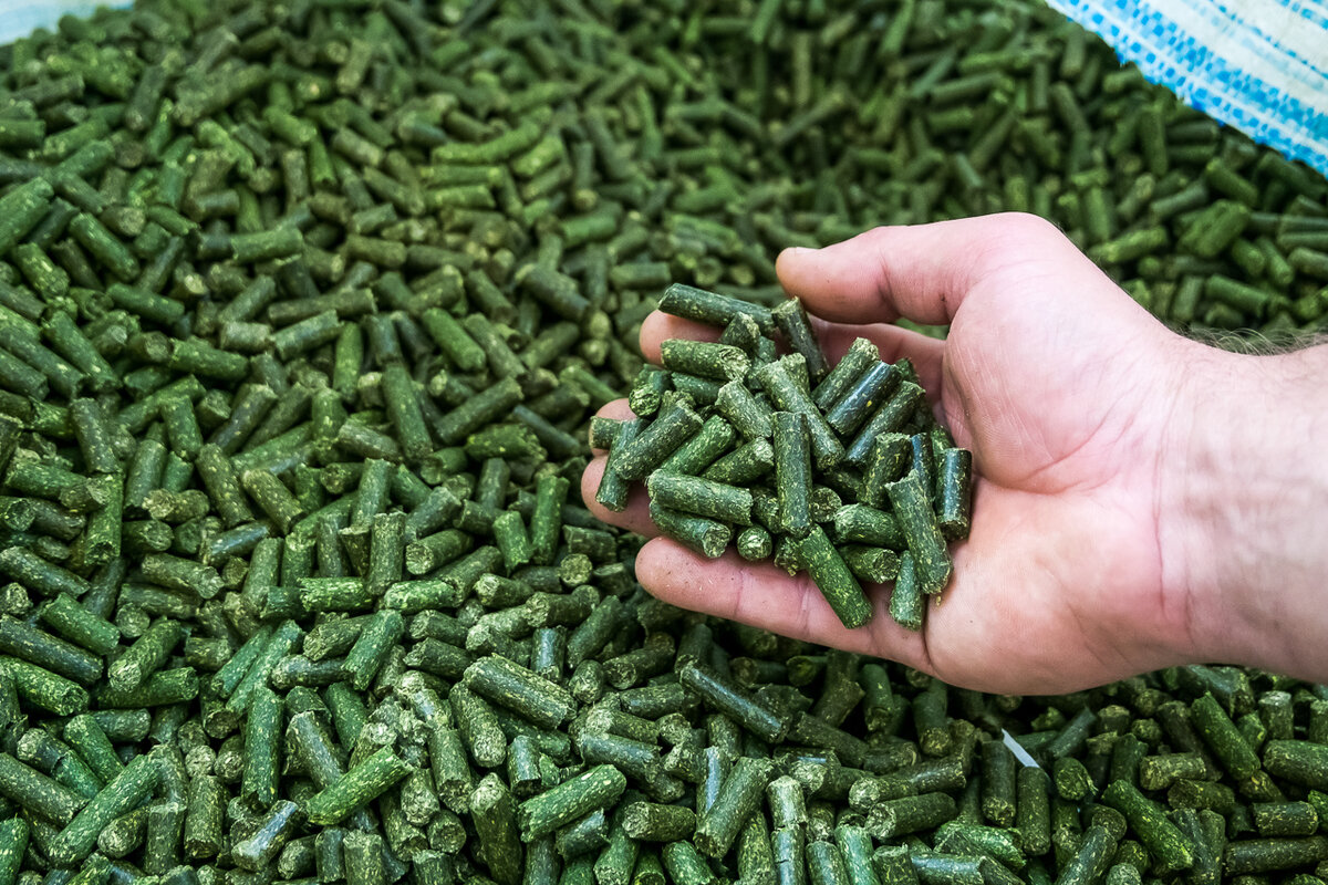 Травяная мука для кур несушек в любое время года для яйценоскости 🌿