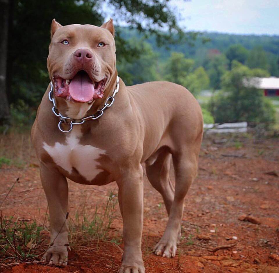 фото из открытых источников ИТКС интернет