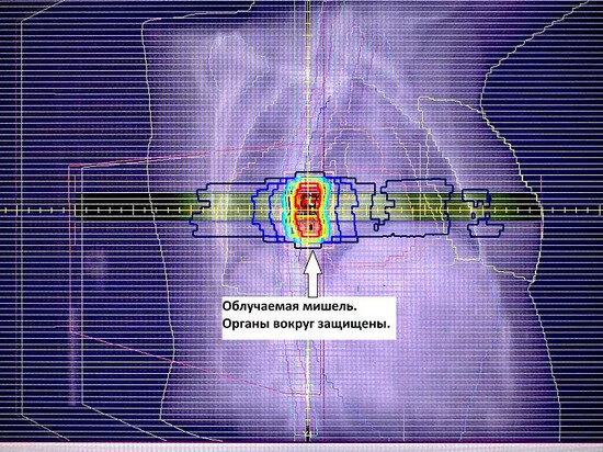     Фото: Министерство здравоохранения Тульской области