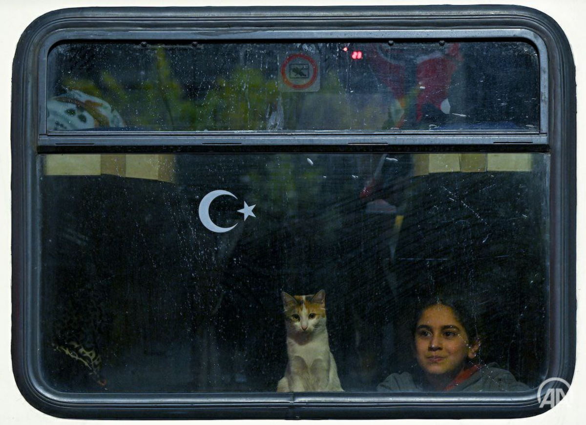 Фото: Махмут Сердар