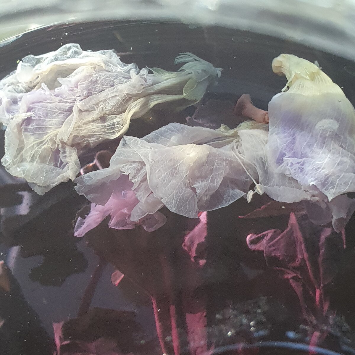    Такая милота!