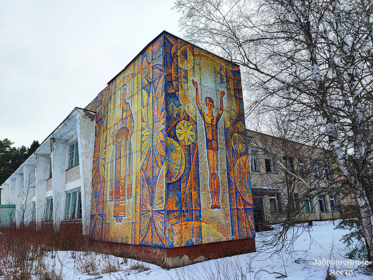 Пионерский лагерь солнечная поляна богородицкий район фото